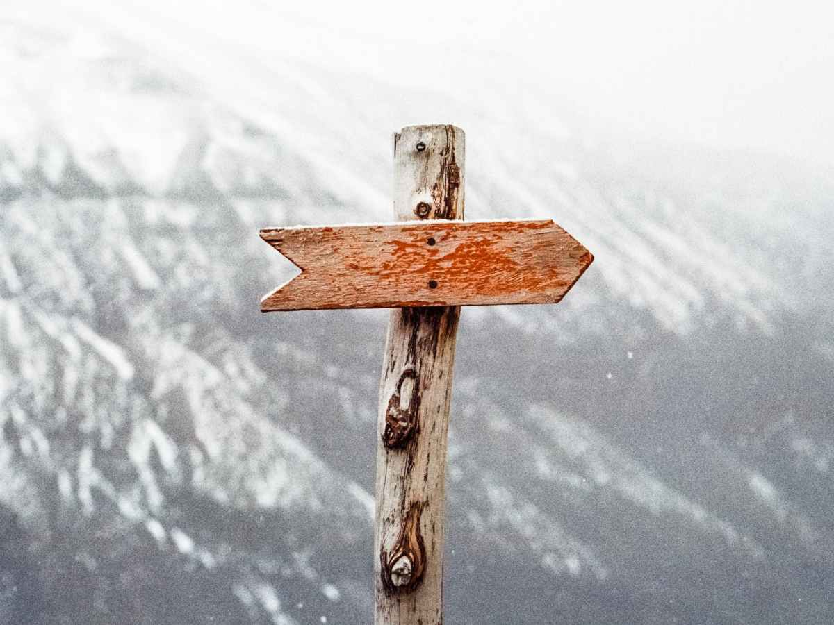 Cult culture, following a famous person blindly, & history&nbsp;repeating